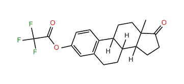 Trifluoroacetate estrone